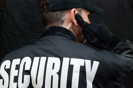 Sicherheitsdienst und Security Service